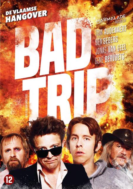 Movie poster for Bad Trip