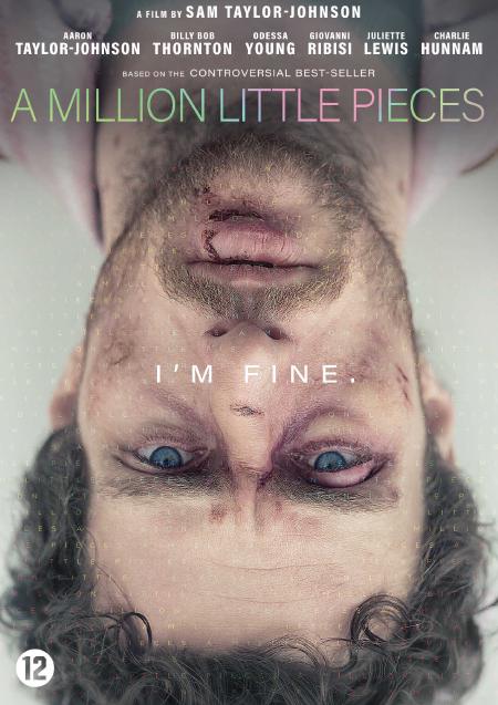Movie poster for Million Little Pieces, A 