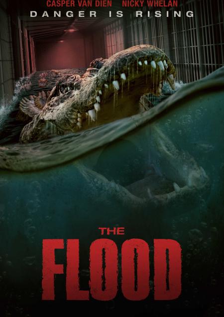 Movie poster for Flood, The 